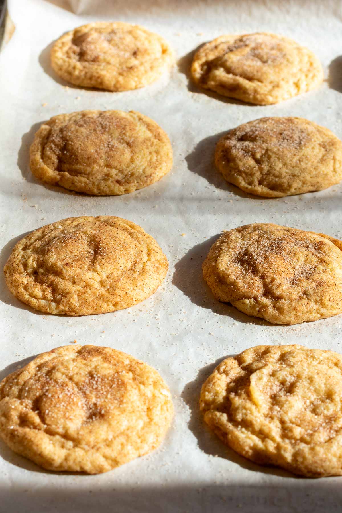 Baked sourdough snickerdoodle cookies on a baking sheet.