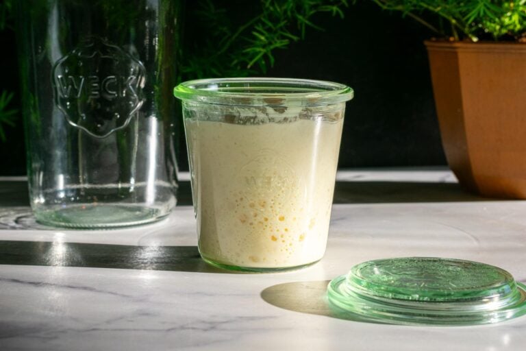 A small sourdough starter in a Weck jar with another jar and fern in the background.