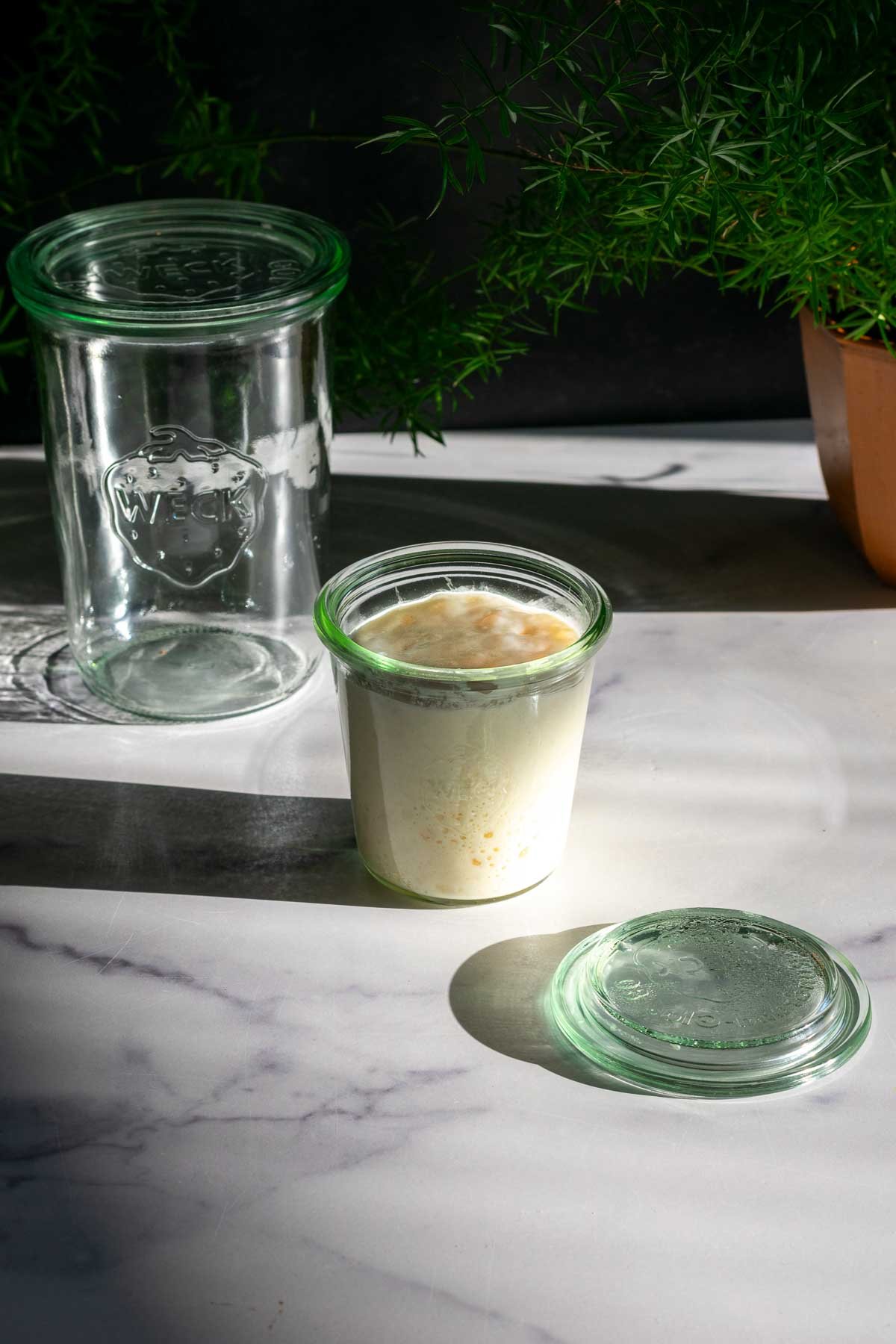 Small sourdough starter Weck jar with a larger Weck jar in the background.