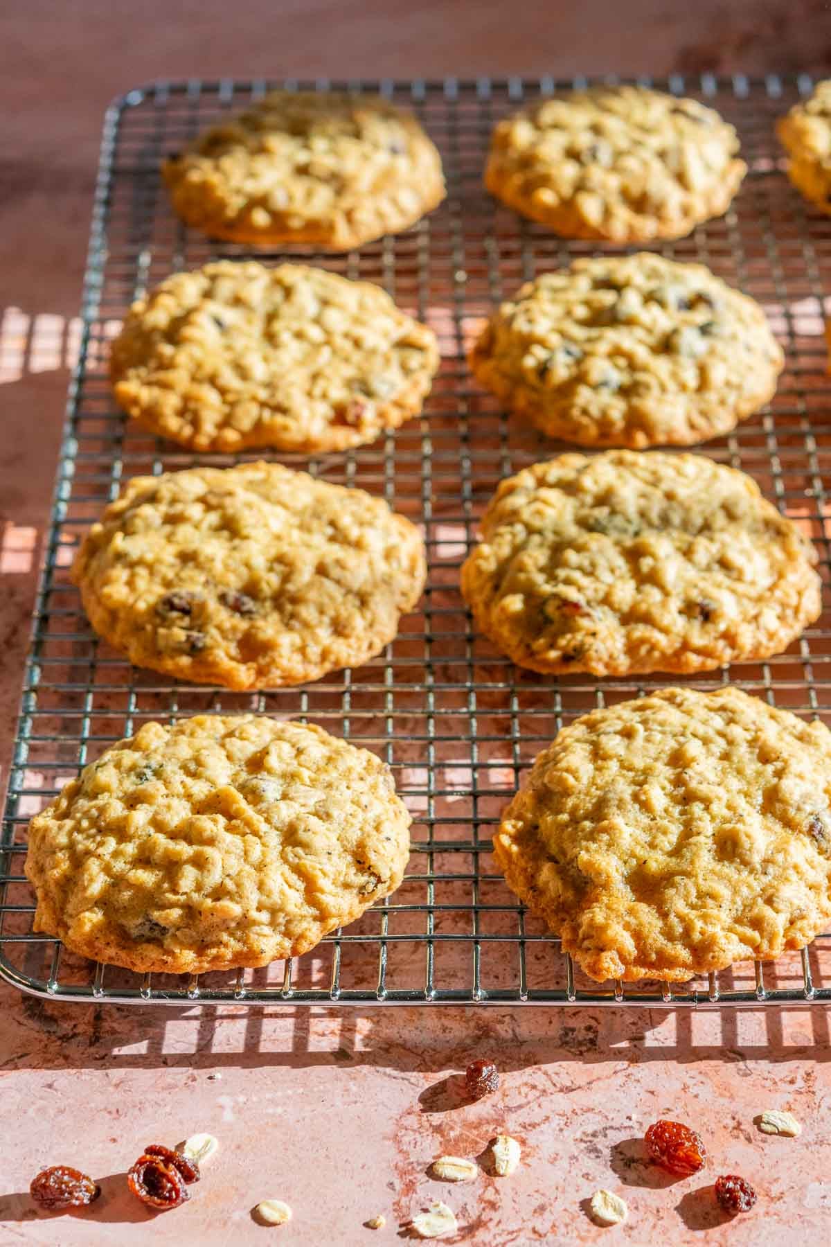 Wire rack with eight baked sourdough oatmeal raisin cookies cooling on it.