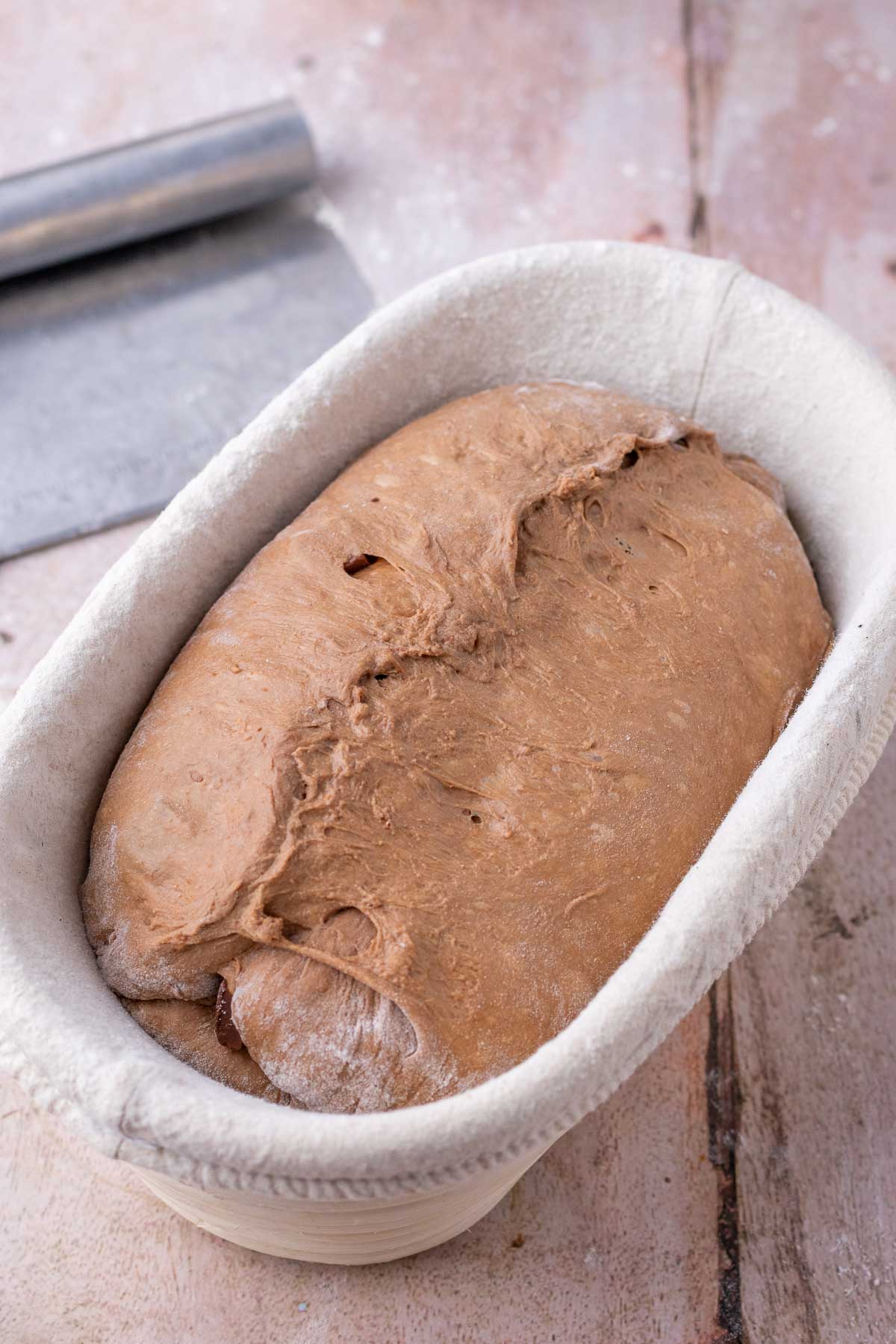Chocolate coffee sourdough bread shaped in banneton.
