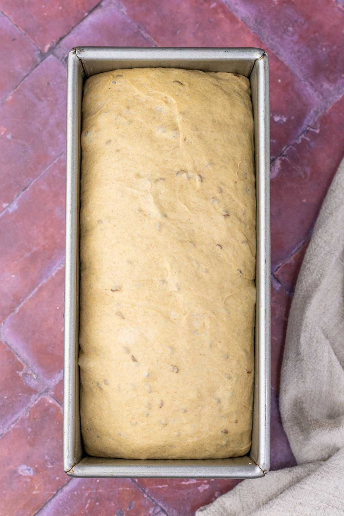 Sourdough rye sandwich bread over doubled in size at the end of the final proof in a pullman pan.