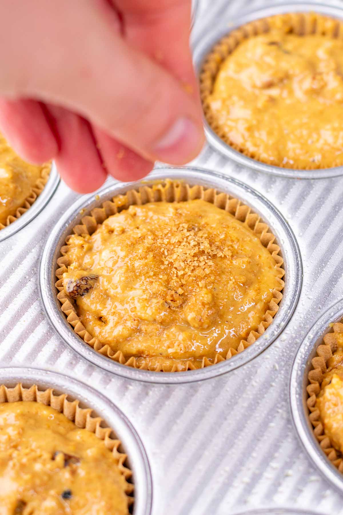 Sprinkling sugar on top of unbaked sourdough bran muffins.