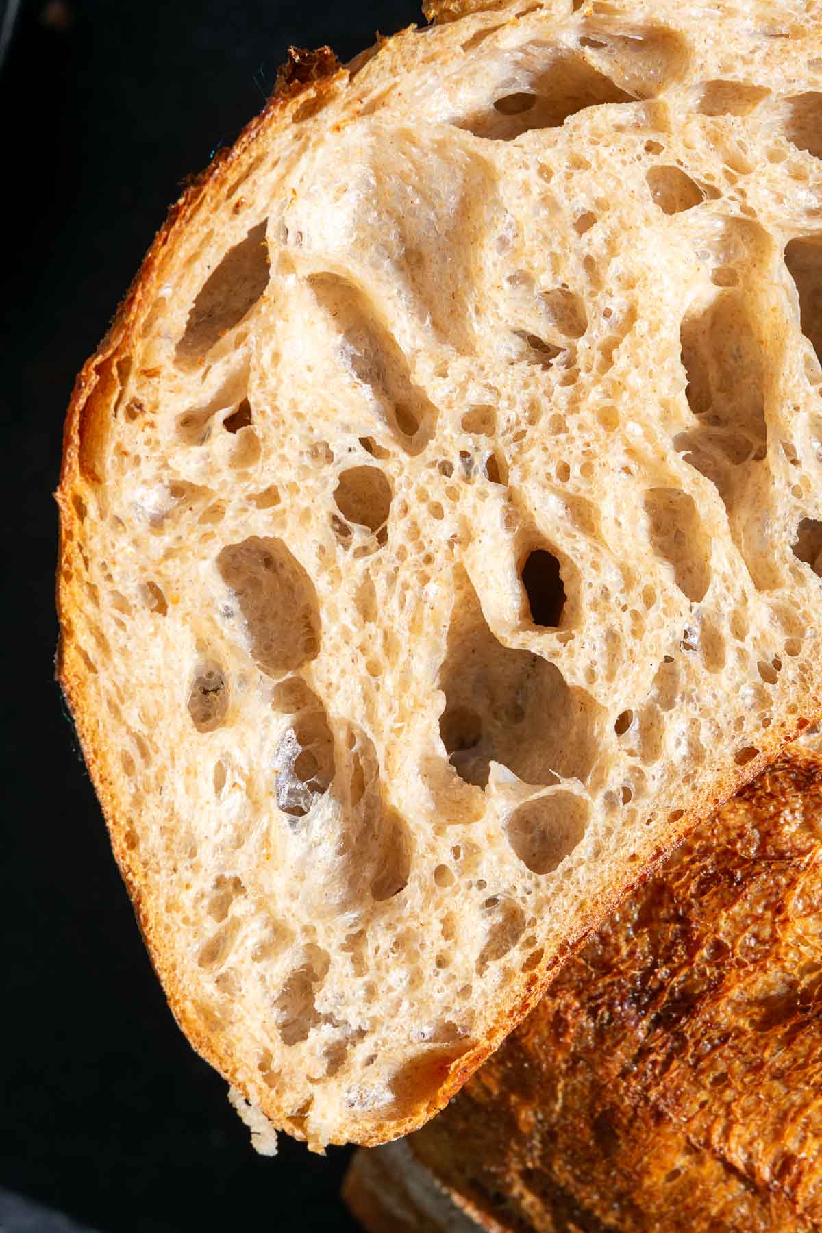 Close up of emmer sourdough bread crumb.
