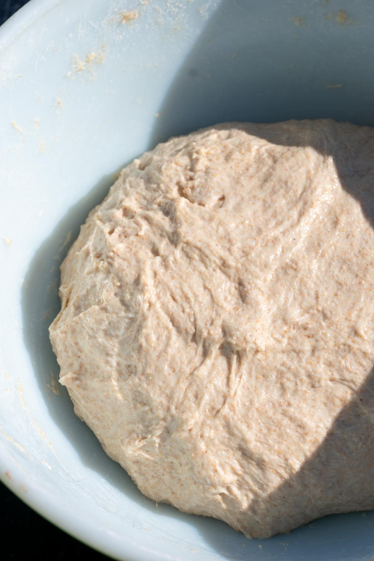 Emmer sourdough bread dough in a bowl at the start of bulk fermentation.