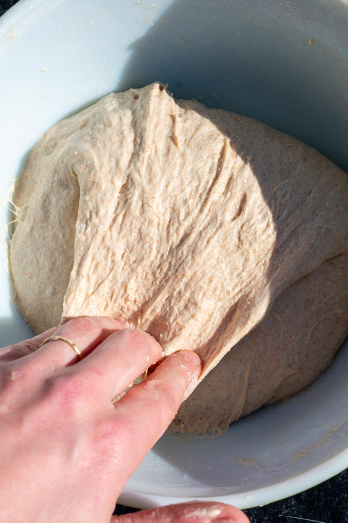 Mixing emmer sourdough bread dough with stretch and folds and hand in the dough bowl.