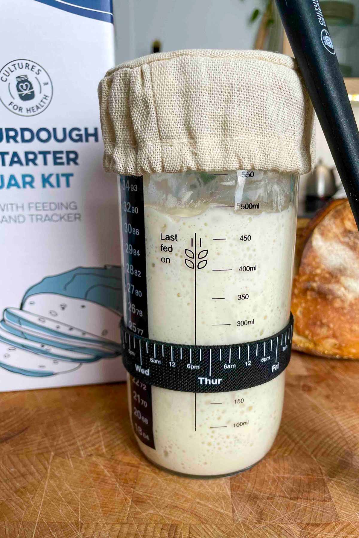 Cultures for Health Sourdough Starter Jar Kit with active and bubbly sourdough starter.