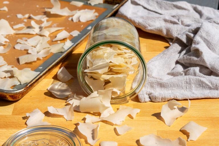 Dried sourdough starter flakes falling out of jar with a sheet pan of more dried sourdough starter.