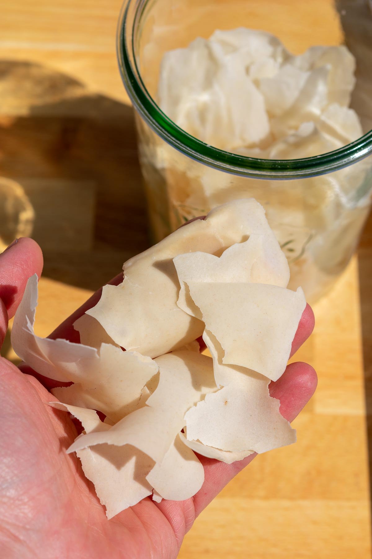 Hand holding flakes of dried sourdough starter.