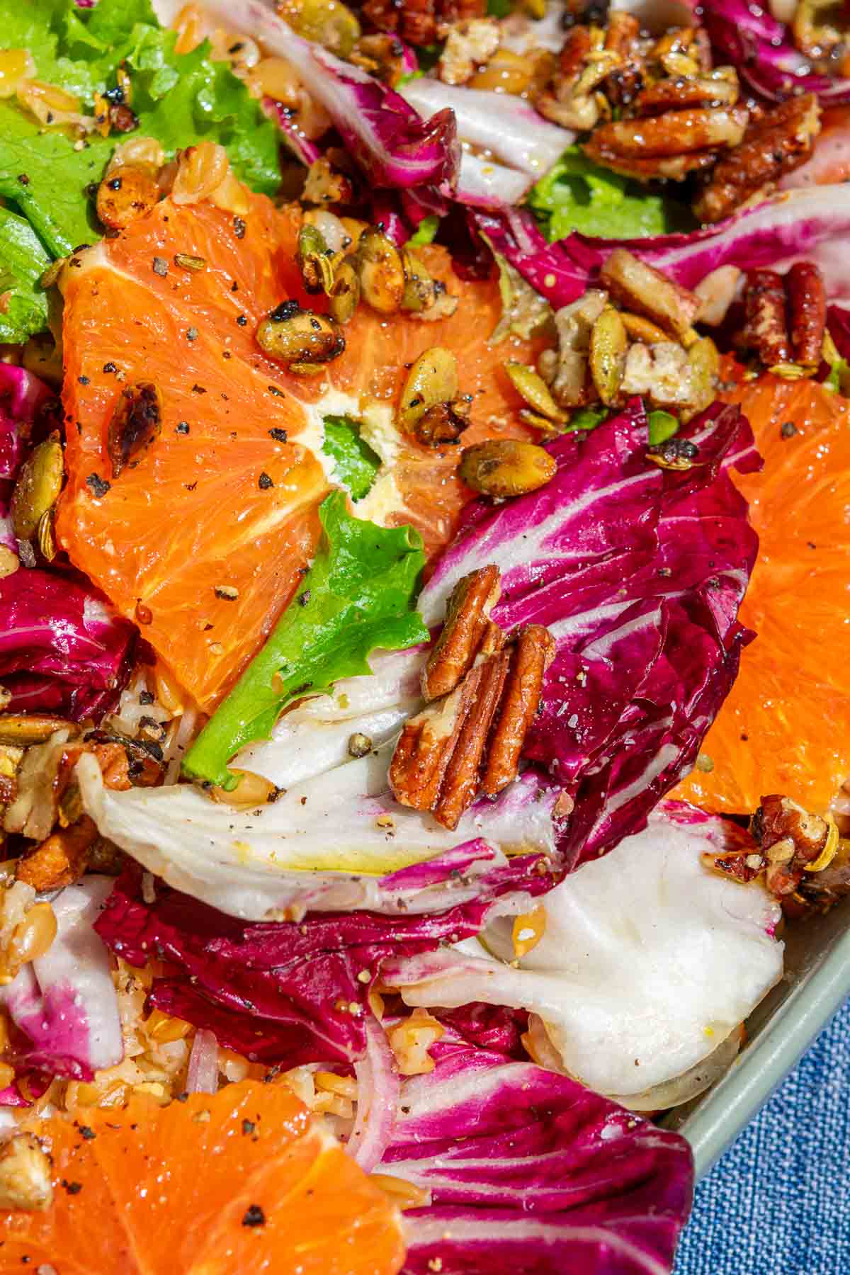 Close up image of einkorn salad with radicchio and oranges.
