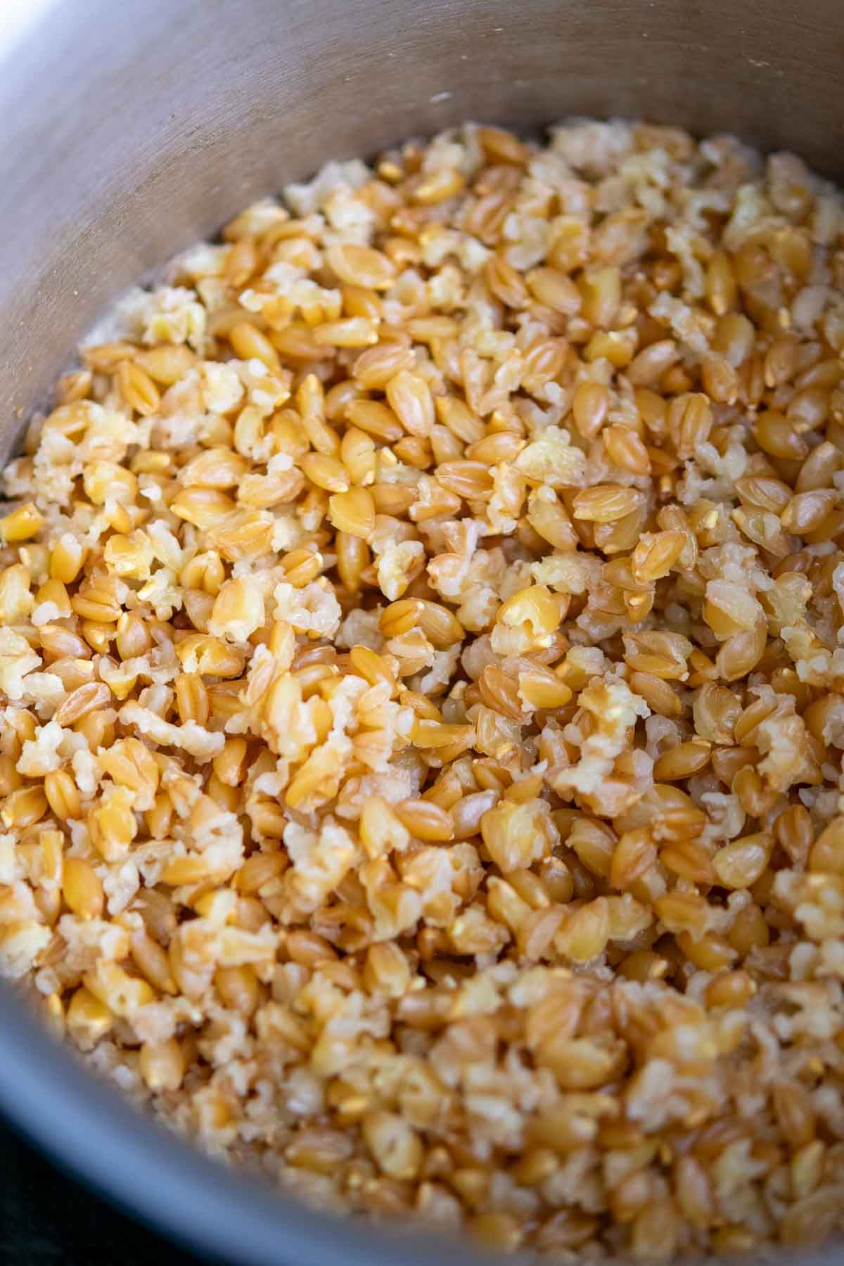 Cooked einkorn berries in a pot.