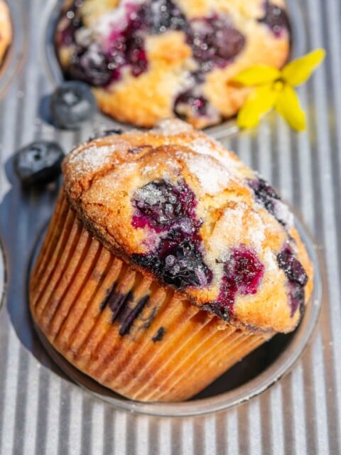 Sourdough blueberry muffin in a muffin pan with fresh blueberries.