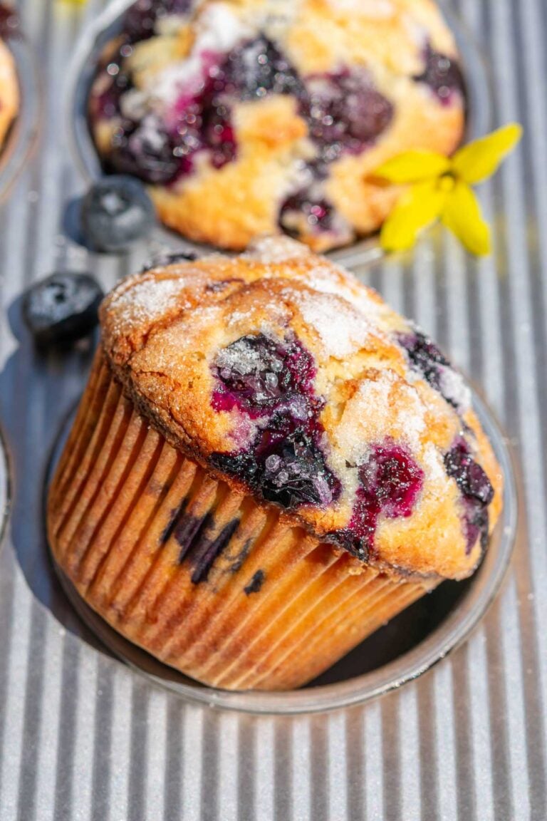 Sourdough blueberry muffin in a muffin pan with fresh blueberries.
