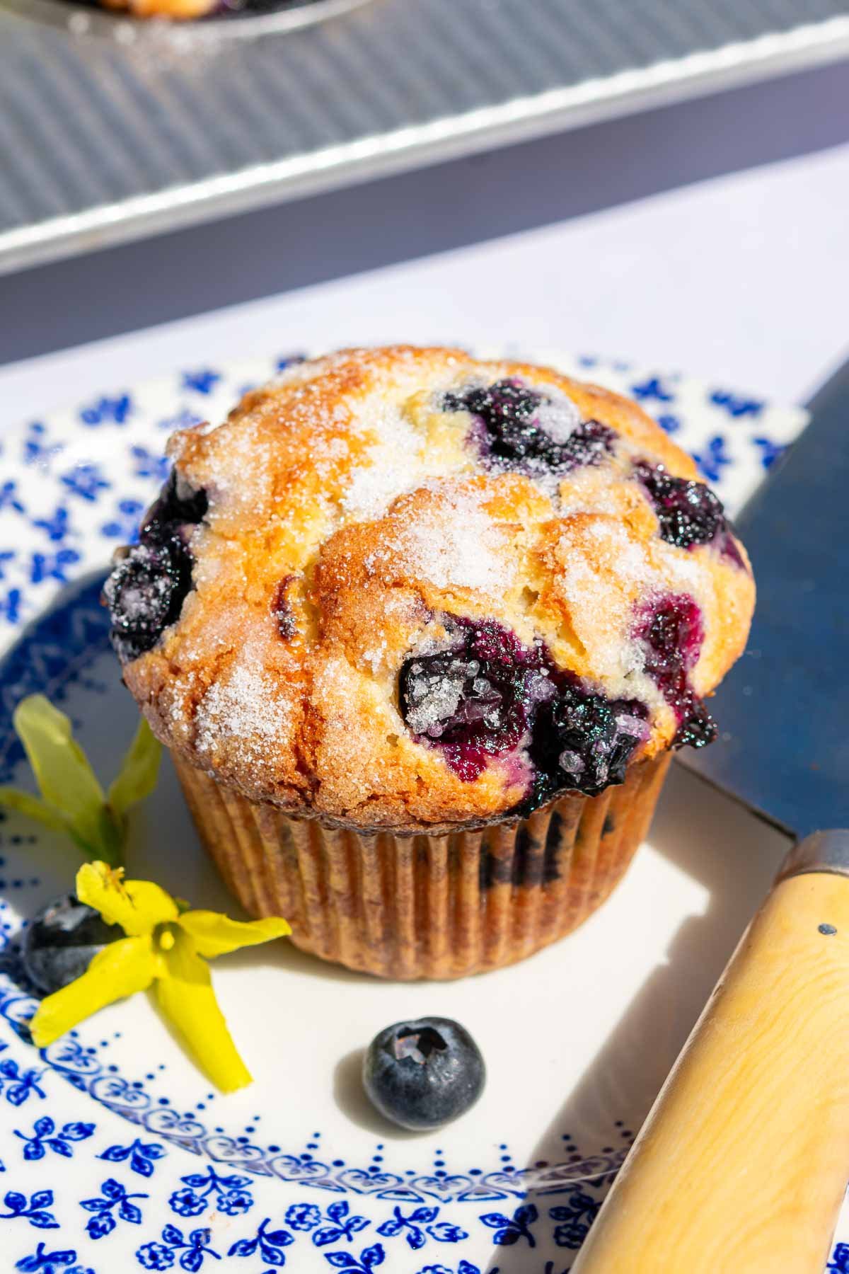 Sourdough blueberry muffin on a plate with fresh blueberries, a knife, and yellow flowers.