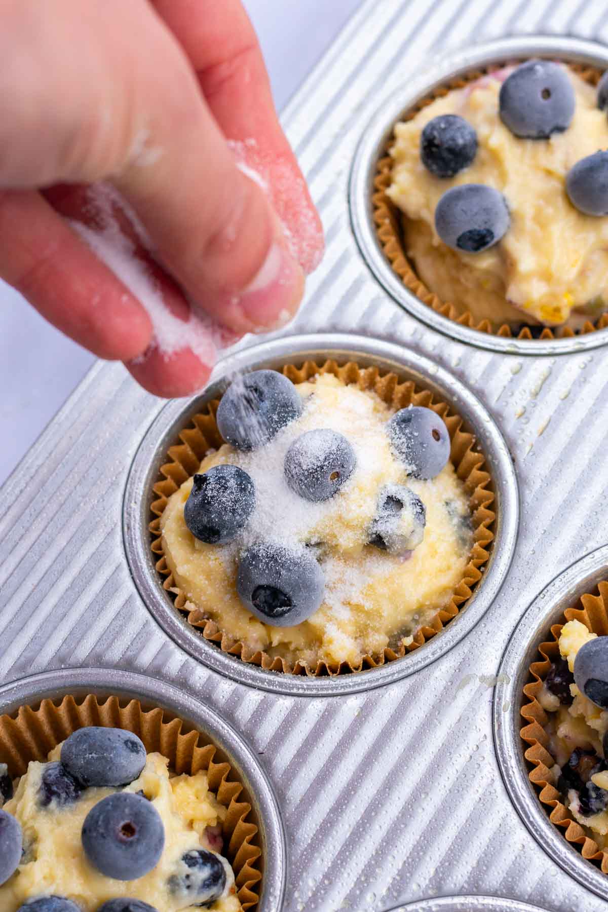 Hand sprinkling granulated sugar on top of blueberry muffins in a muffin pan.