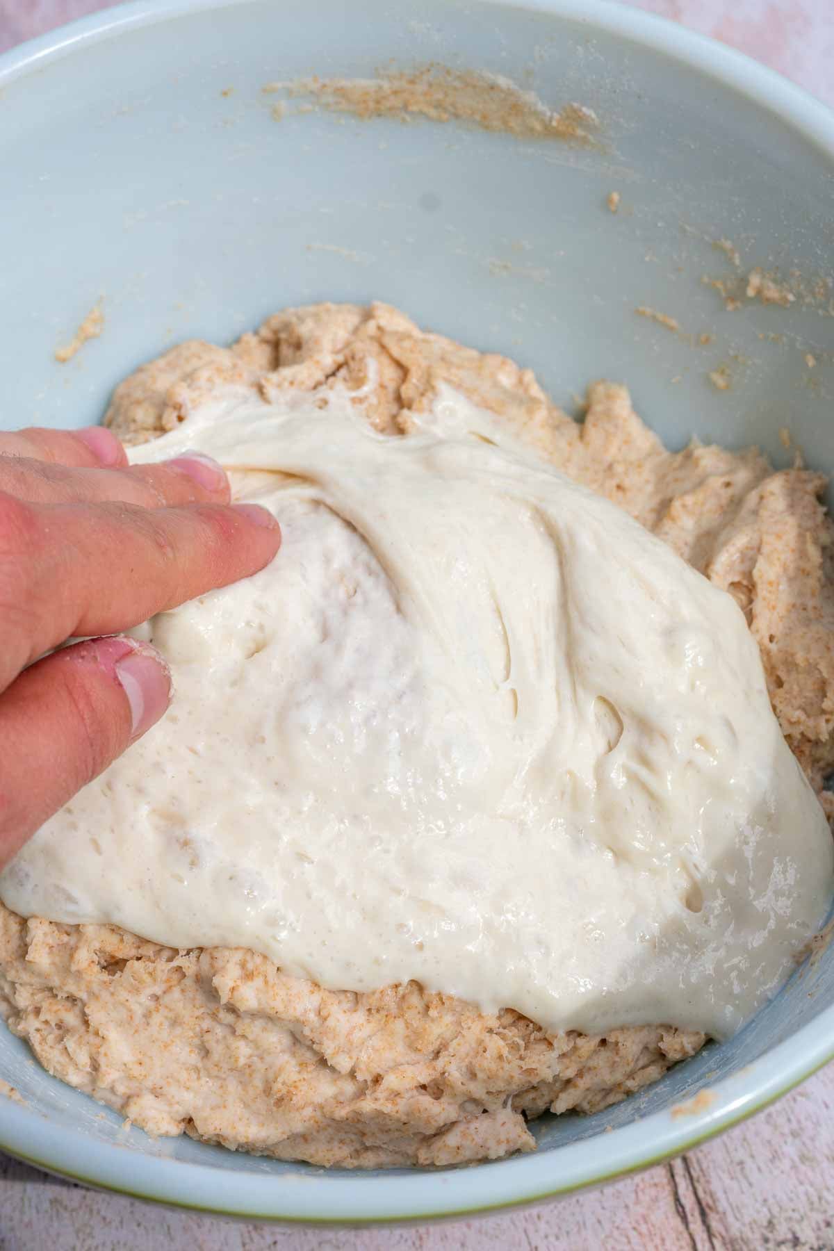 Active levain or sourdough starter added to top of dough in a bowl with hand mixing it in.