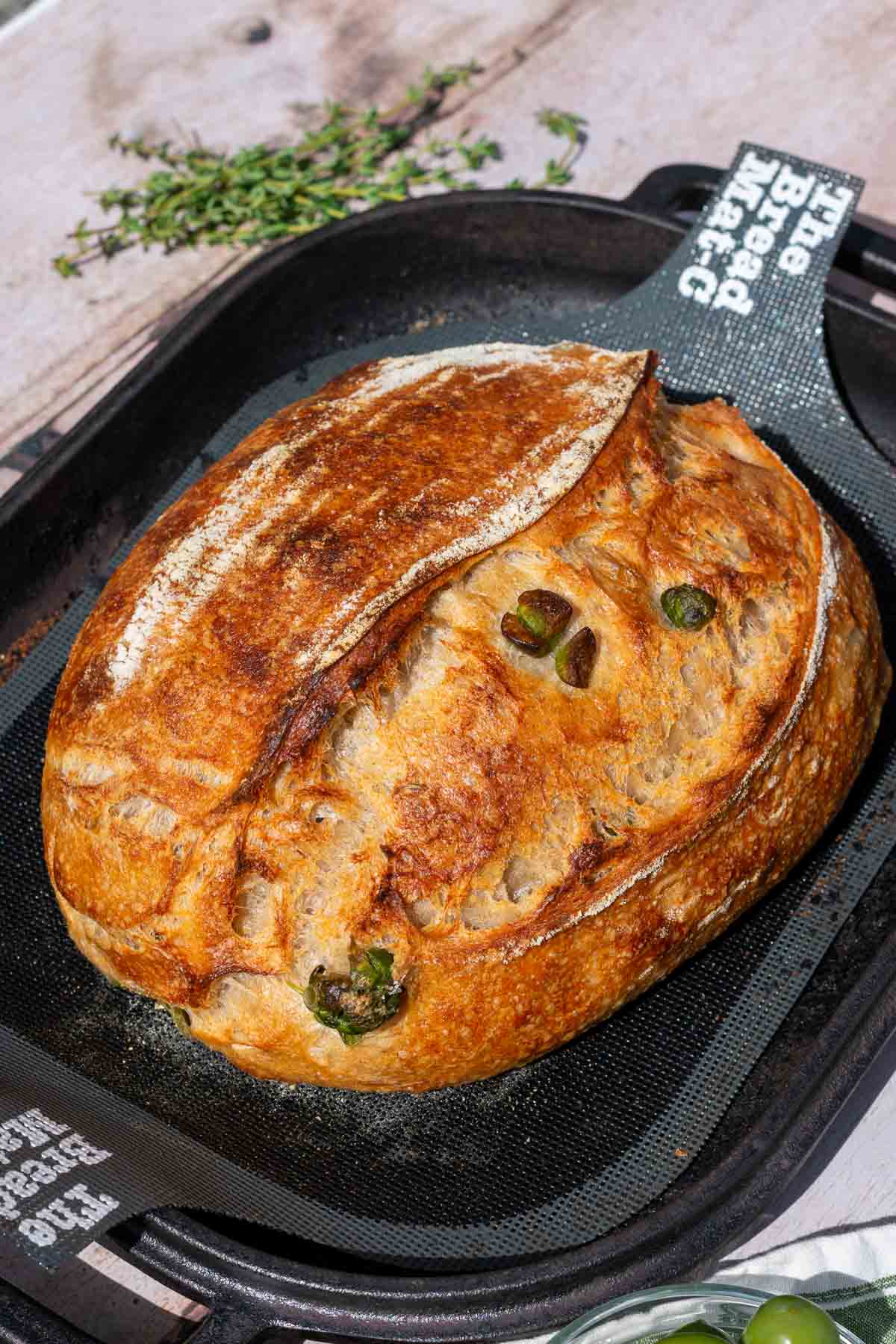 Baked olive sourdough bread in Challenger Bread Pan with thyme.