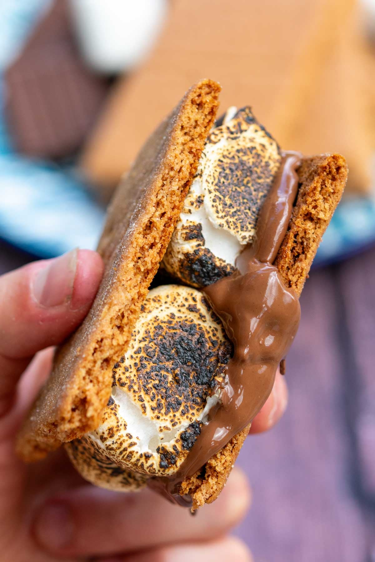 Hand holding a s'mores made with homemade sourdough graham crackers, marshmallows, and melted chocolate.