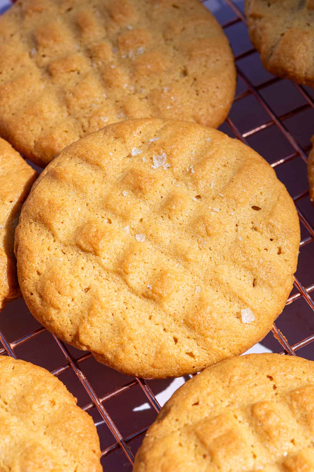 Sourdough peanut butter cookie cooling on a wire rack.