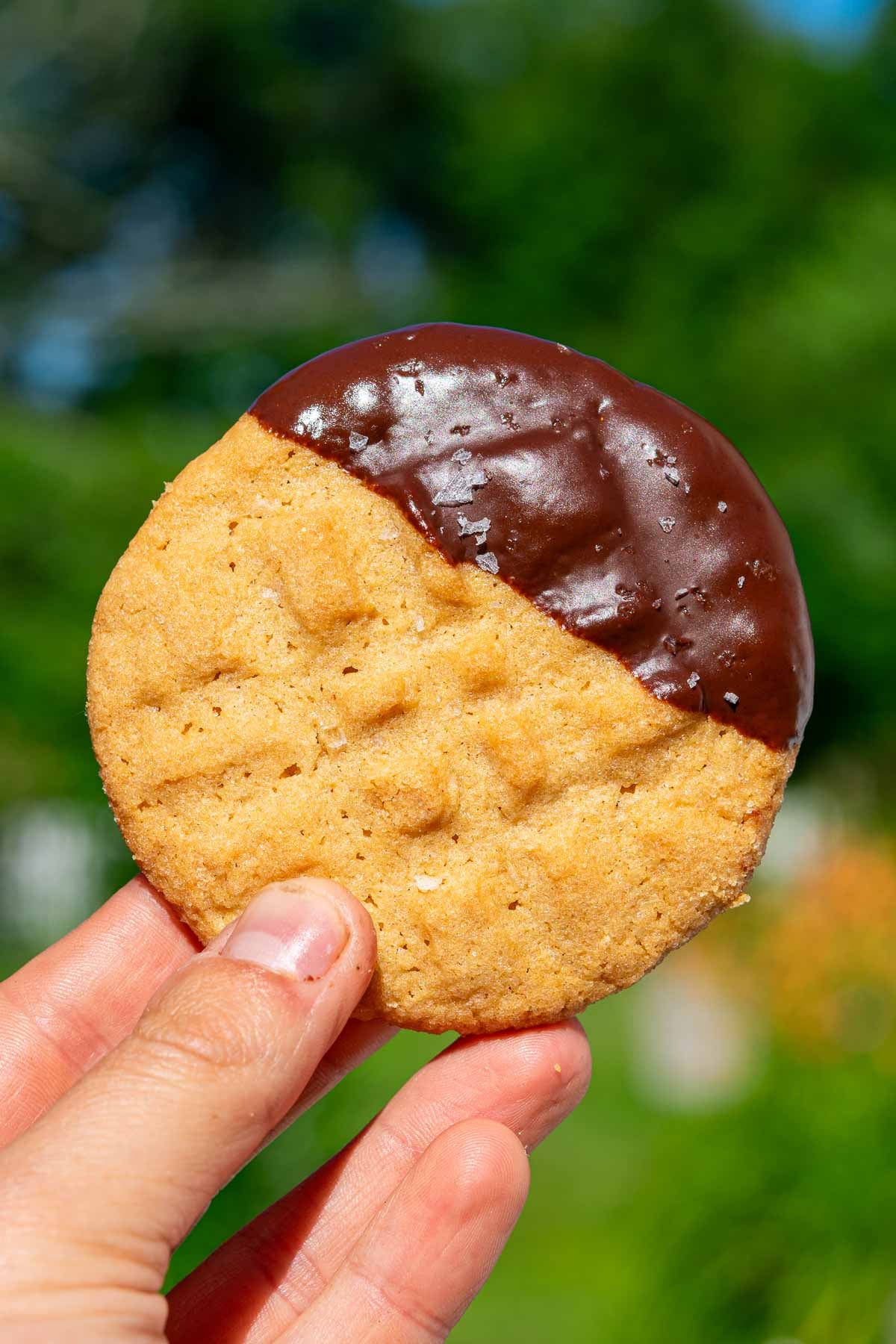 Hand holding a chocolate dipped sourdough peanut butter cookie.