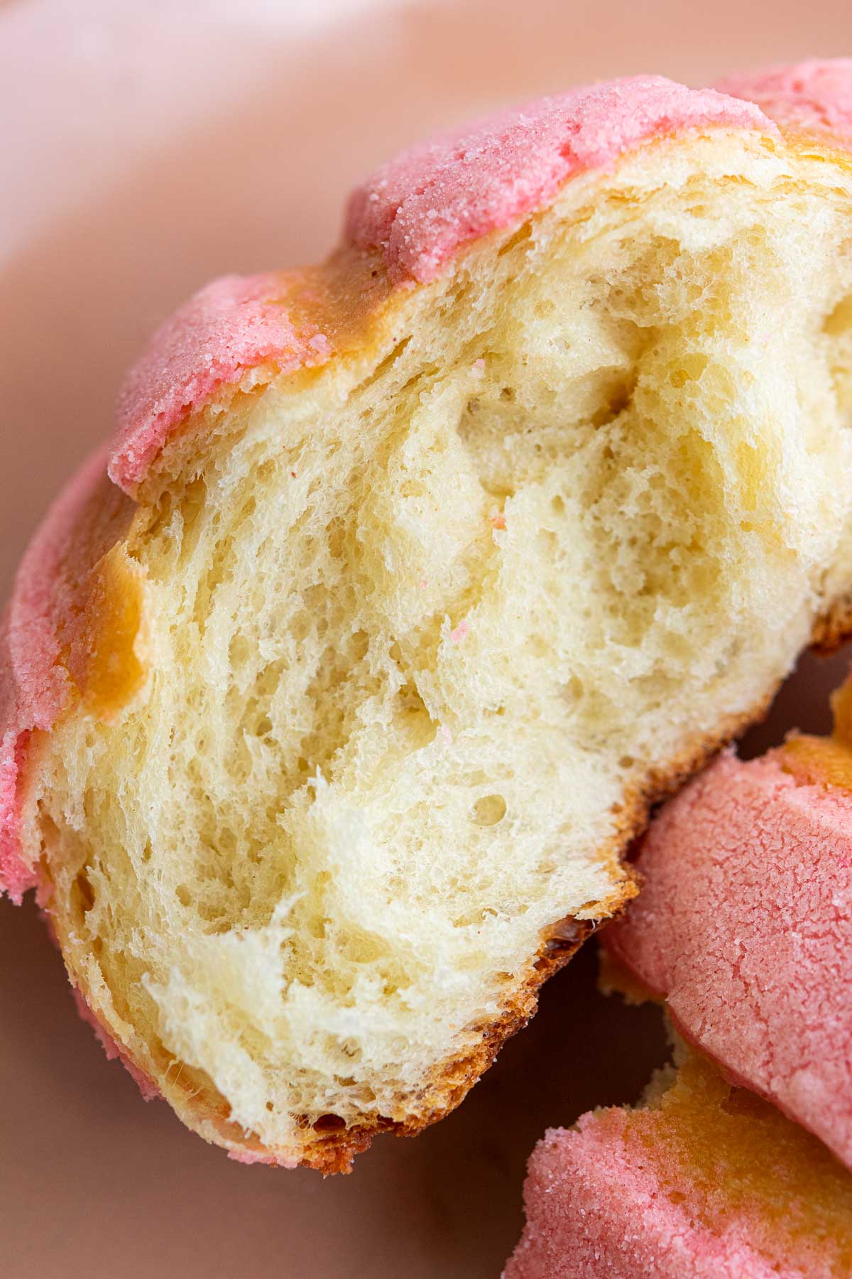 Close up of the soft interior of a sourdough concha
