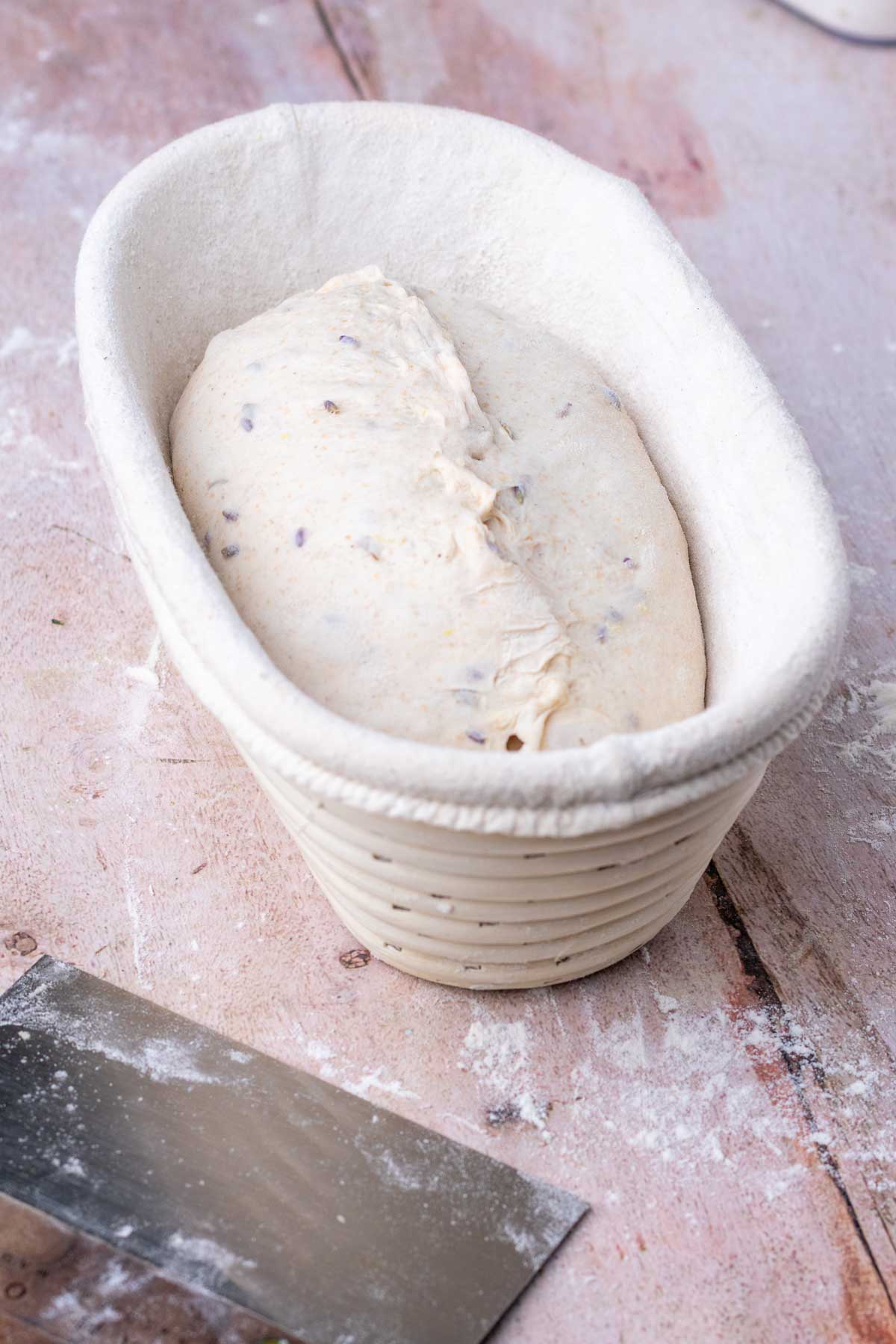 Lavender sourdough bread shaped in banneton.
