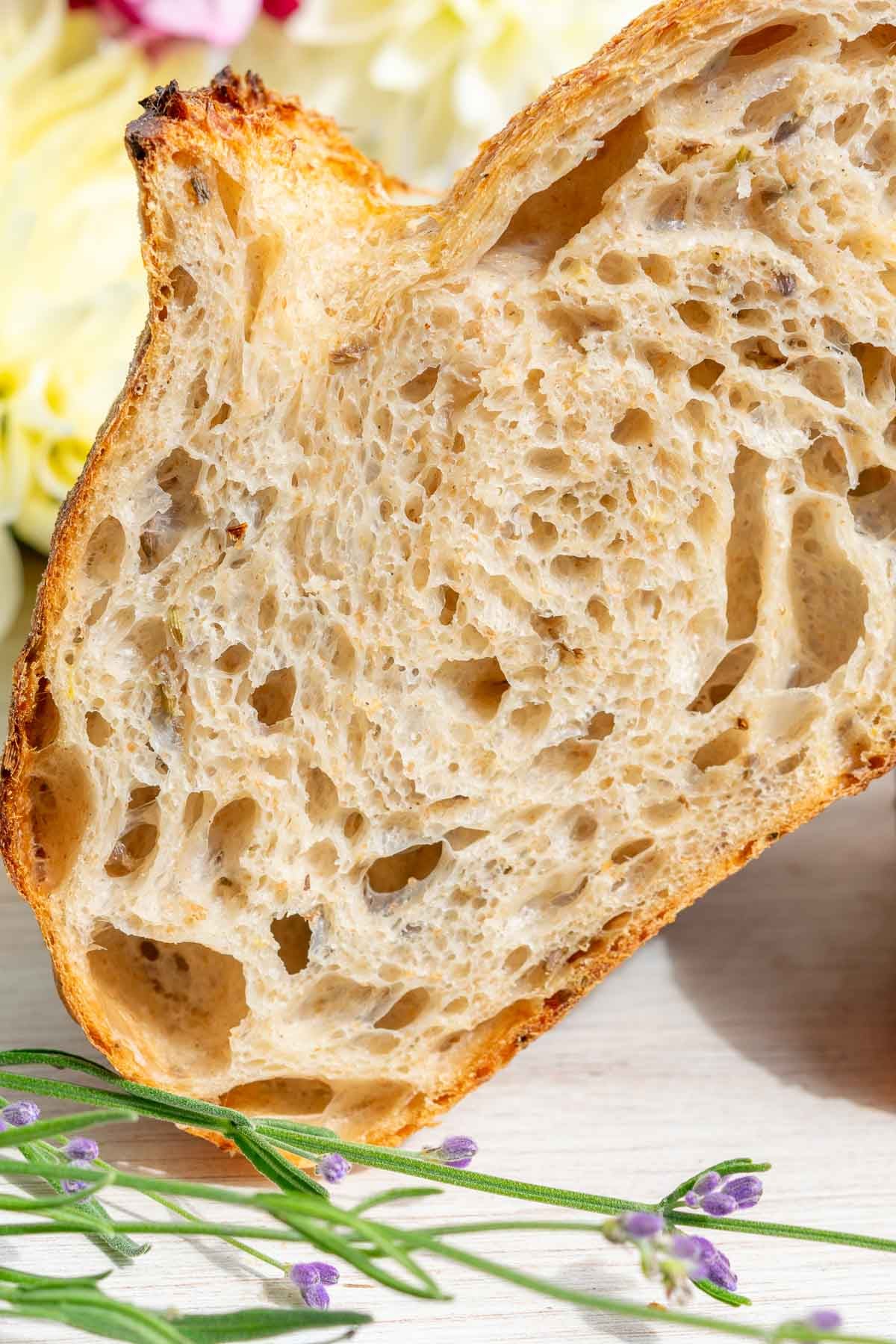 Close up of interior crumb of sliced lavender sourdough bread.