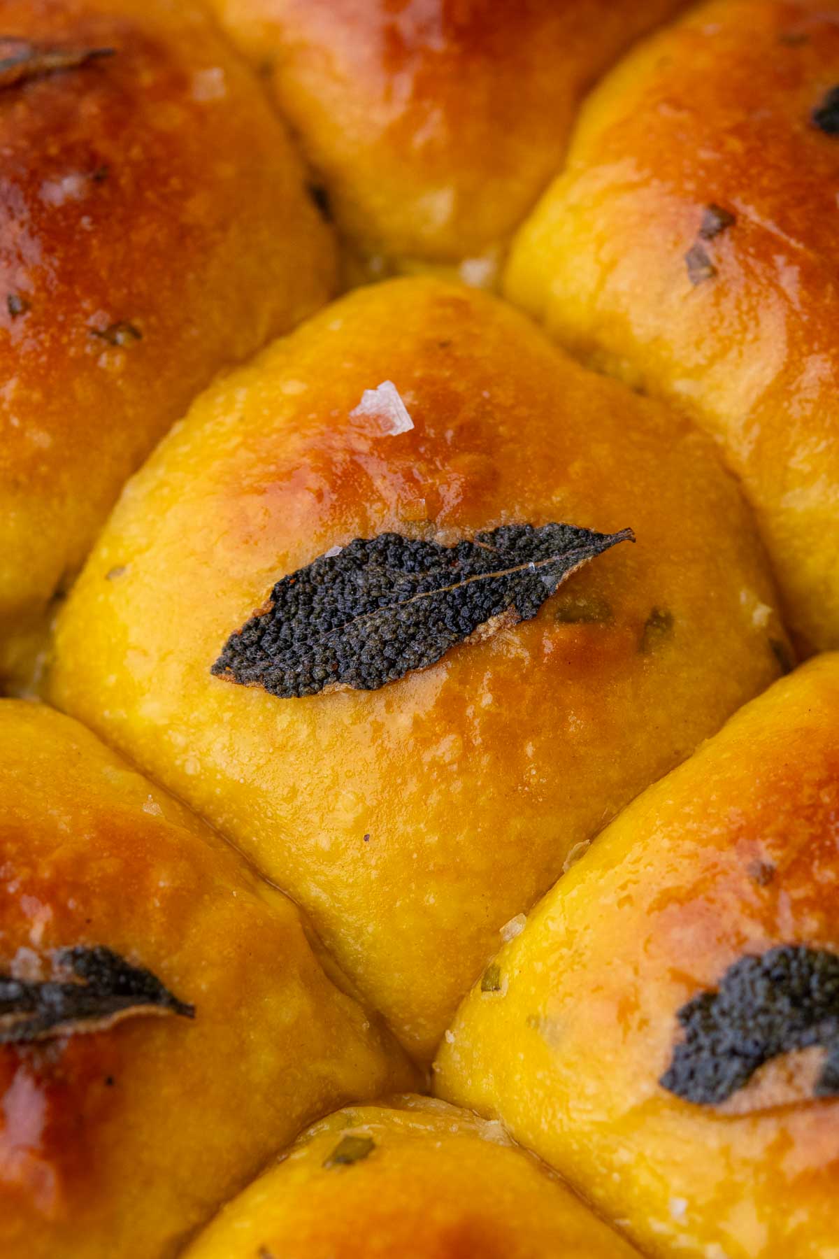 Close up of baked sourdough sweet potato dinner rolls with sage and flaky salt.