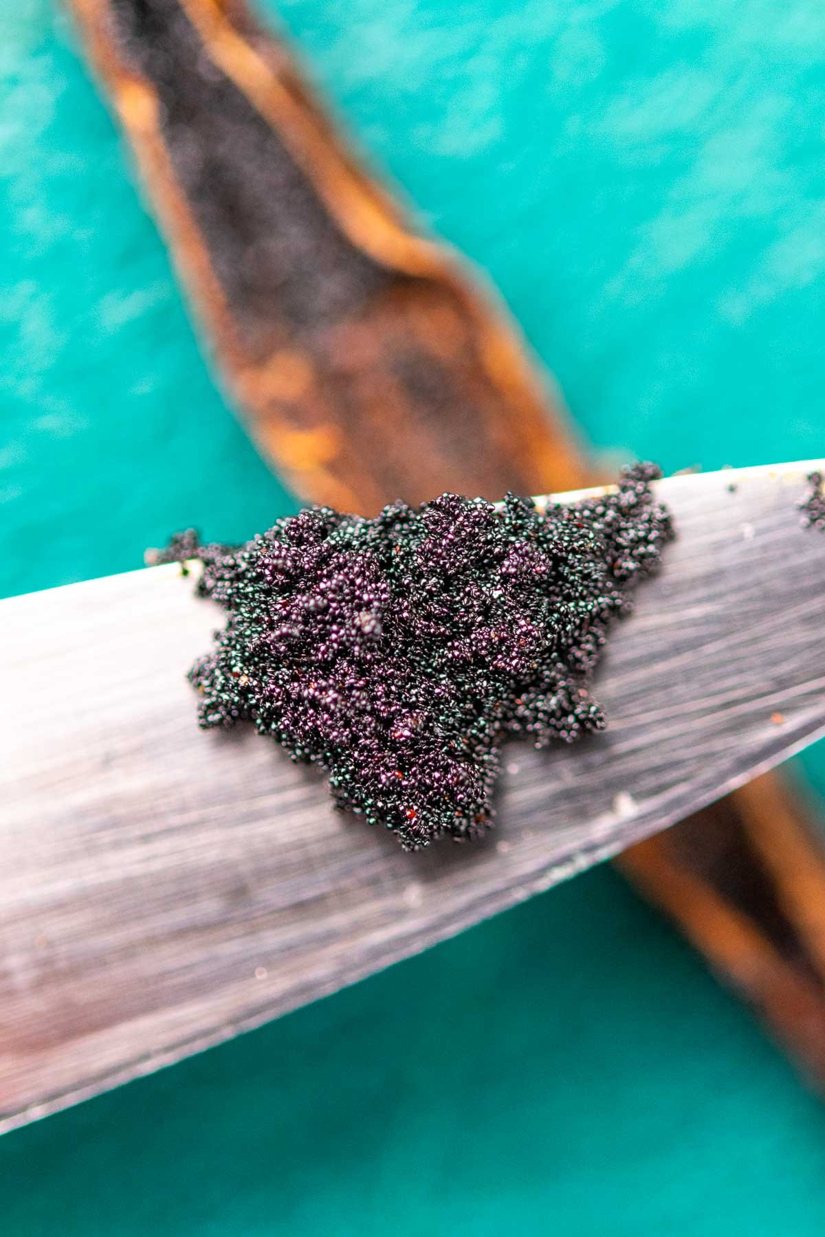 Close up detail of vanilla beans scraped on a knife.