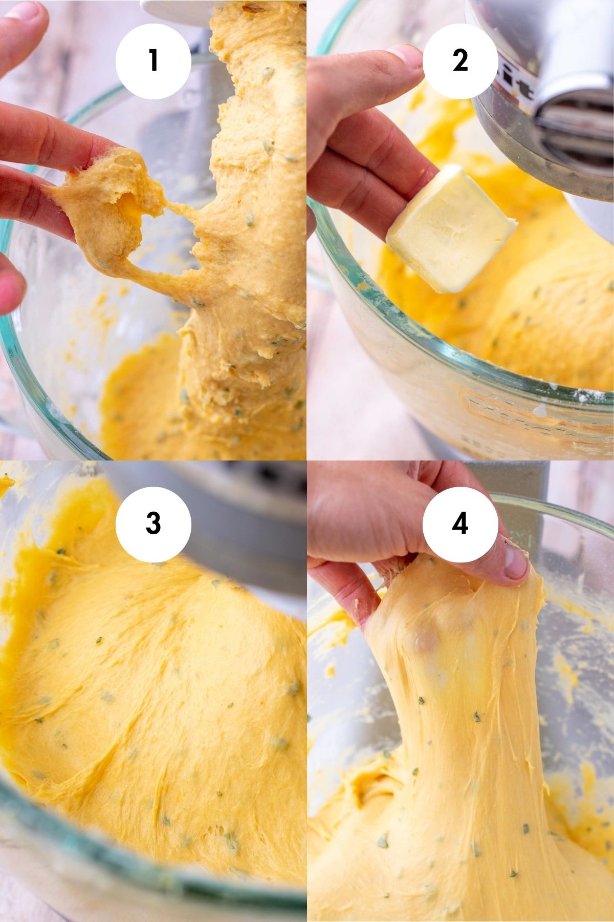 Collage mixing sourdough sweet potato dinner rolls in four steps from a sticky dough, adding butter, to passing the windowpane test.