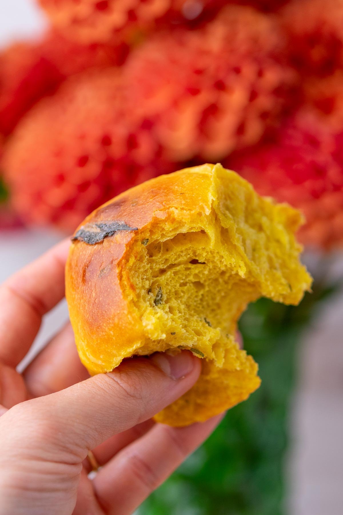 Hand holding a sourdough sweet potato dinner roll with sage with a bite taken out of it.