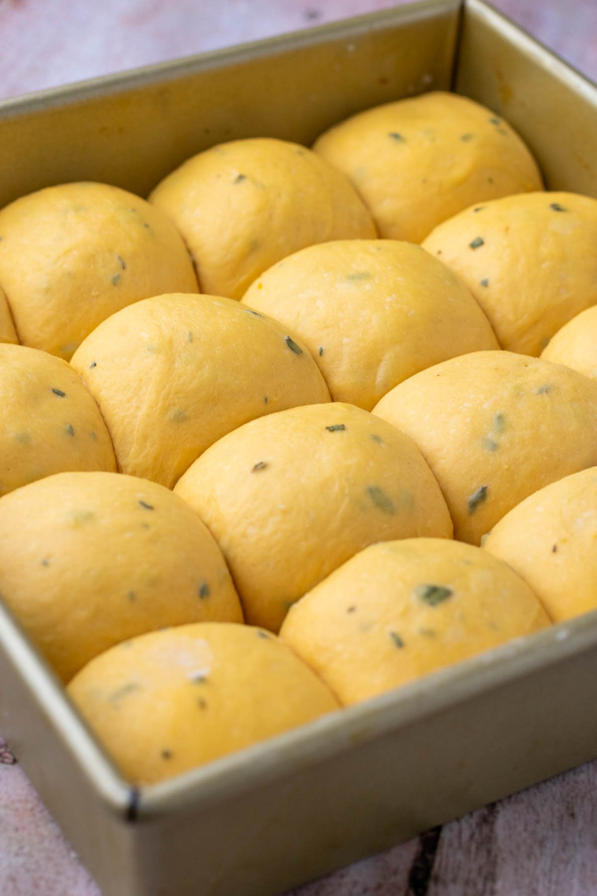 Sourdough sweet potato dinner rolls doubled in pan at the end of final proofing.