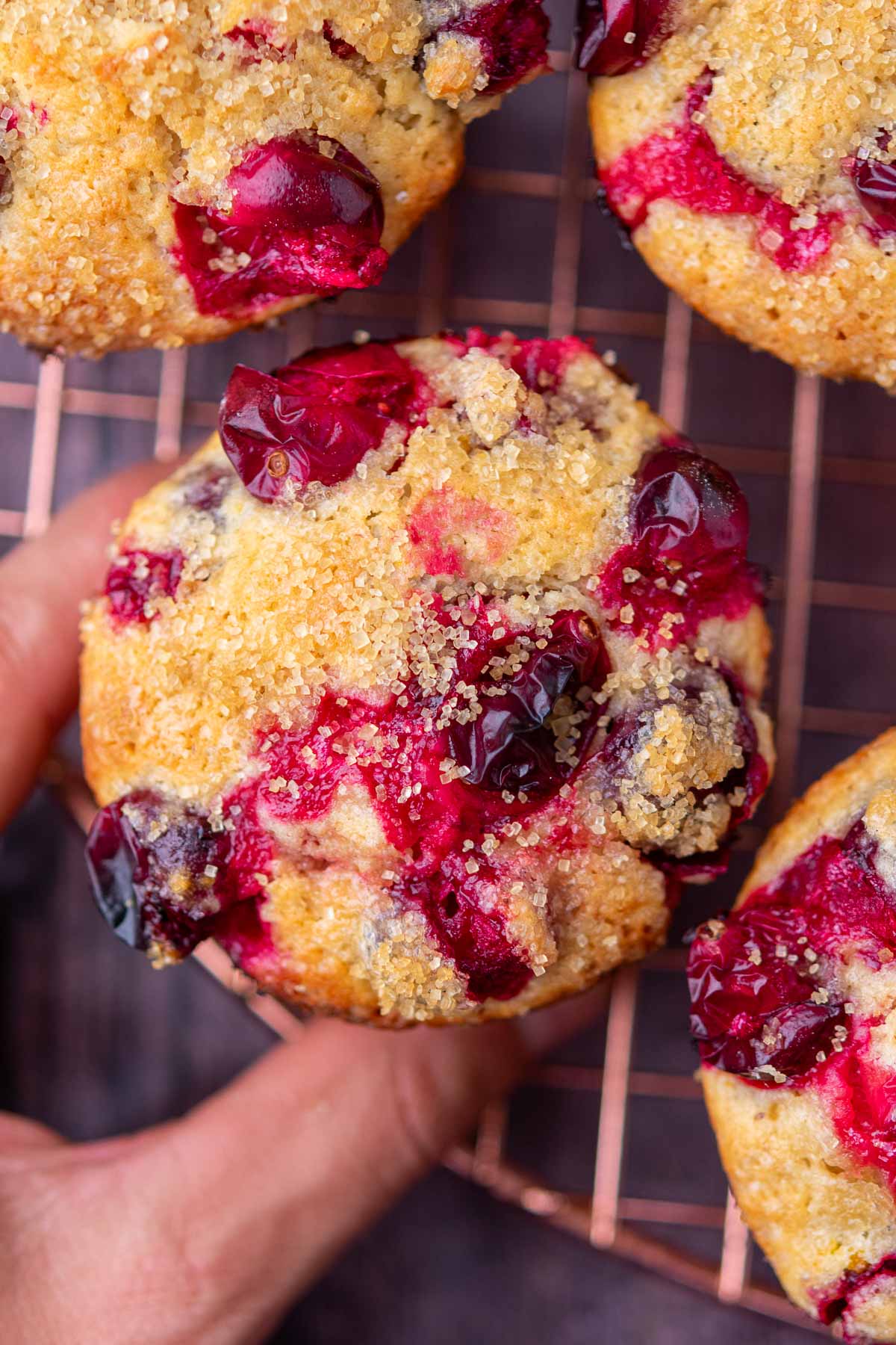 Hand picking a sourdough cranberry muffin on top of a copper wire cooling rack.