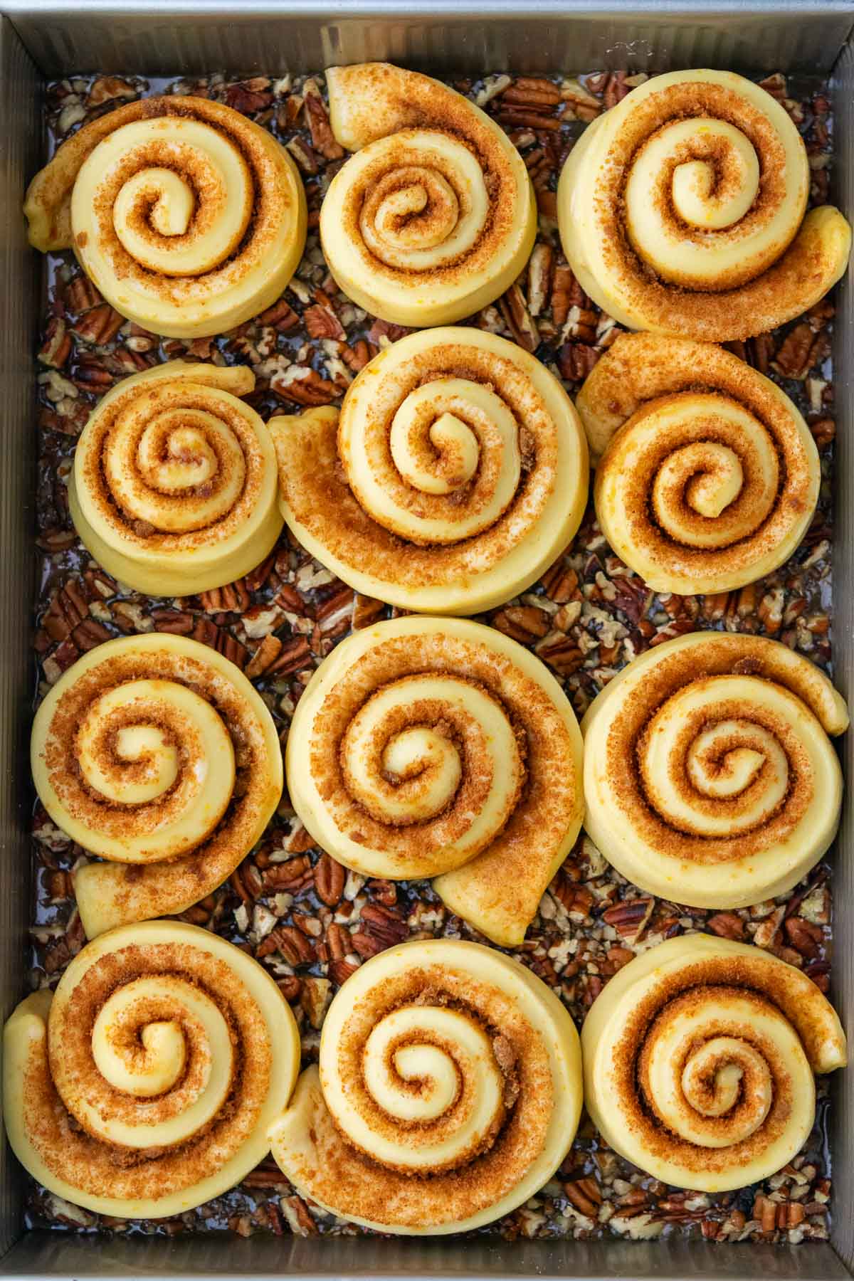 Sourdough sticky buns in baking pan at the end of proofing.