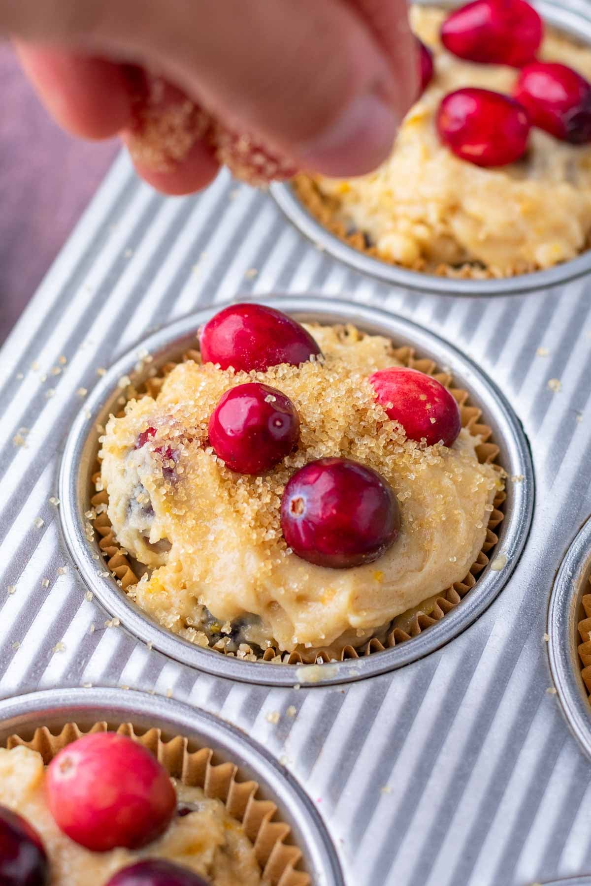 Hand sprinkling raw sugar on top of unbaked sourdough cranberry muffins in muffin pan.