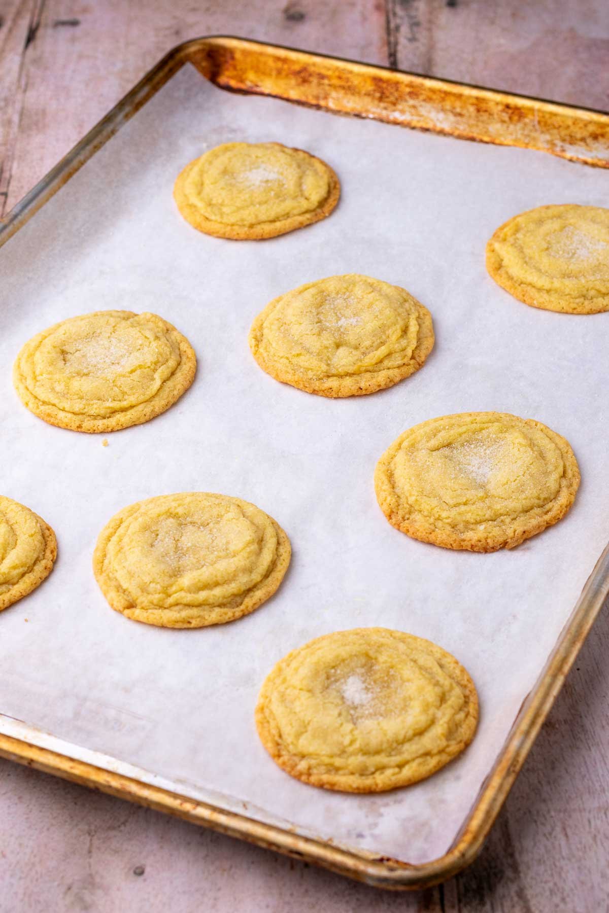 Eight baked sourdough sugar cookies on a baking sheet.