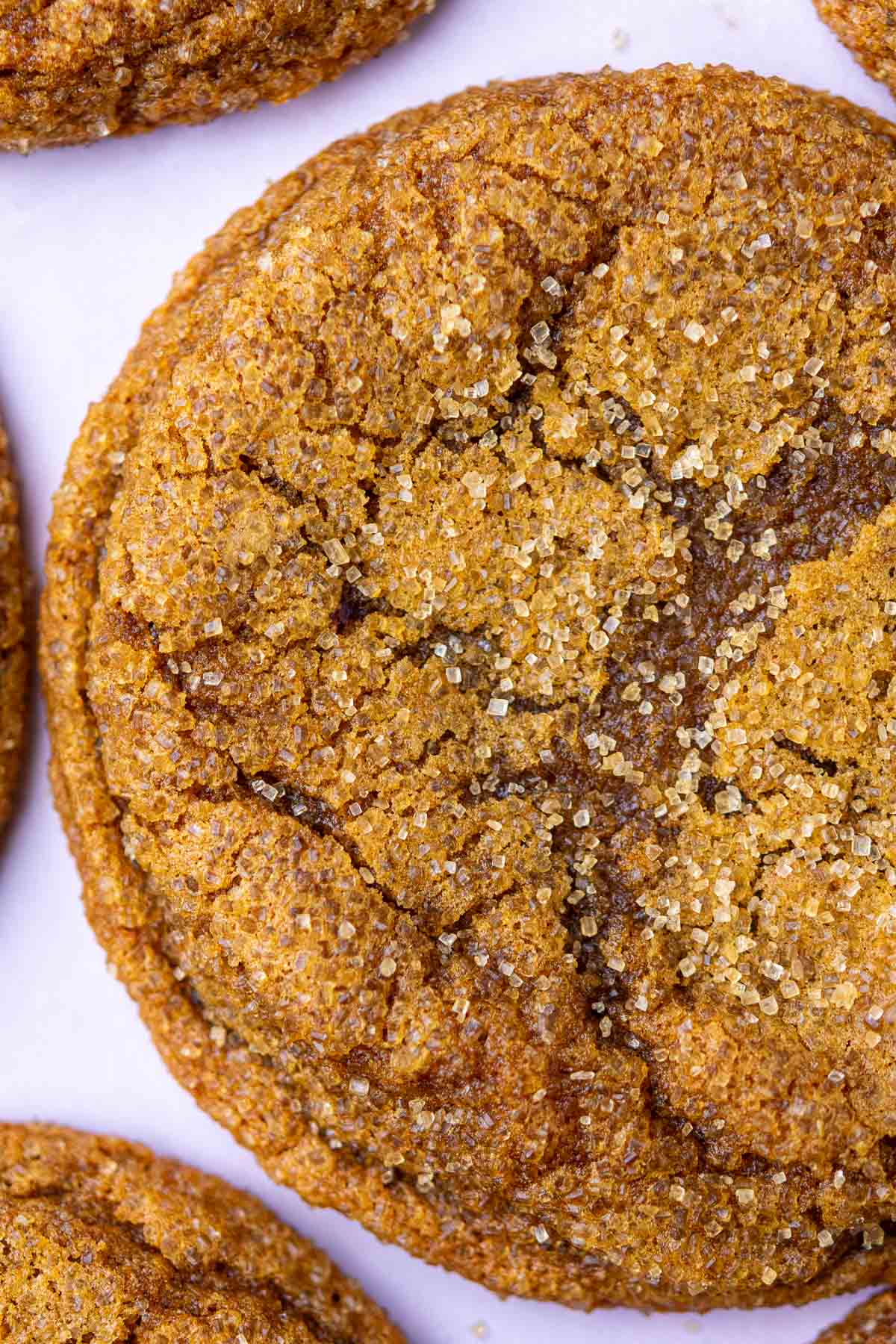 Close of up of a chewy Sourdough ginger molasses cookie.
