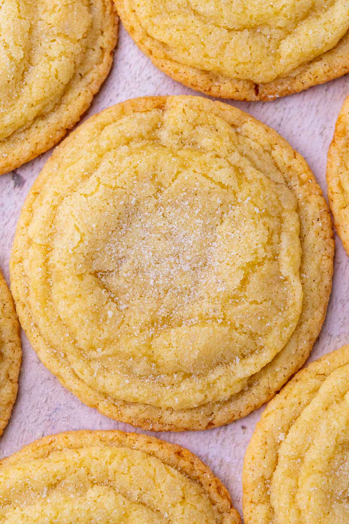 Close up of a chewy sourdough sugar cookie with crispy wavy edges.