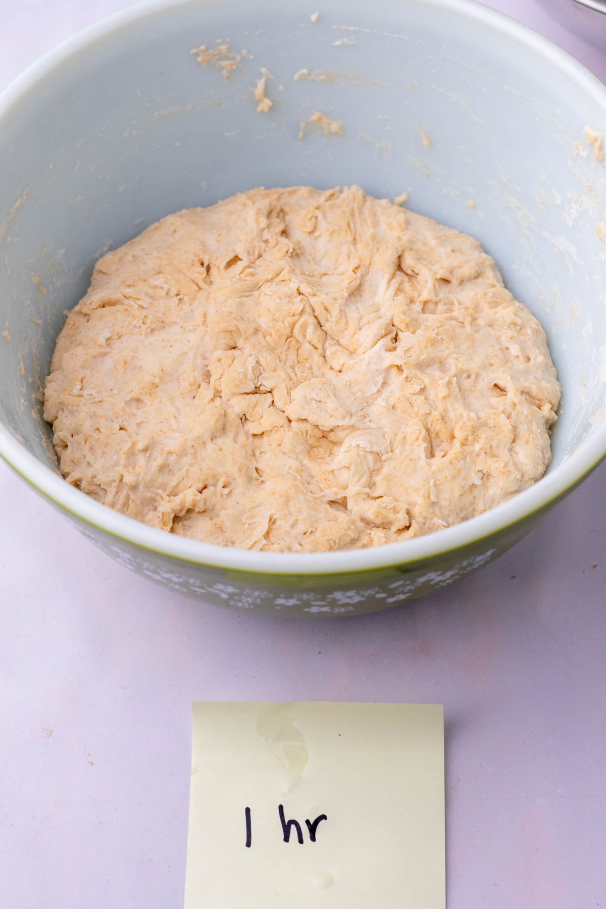 1 hour autolyse bread dough in bowl.