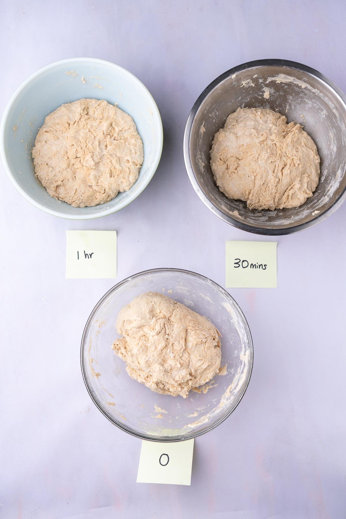 Three bowls of bread dough in autolyse at different stages. One had a one hour autolyse, one had a 30 minute autolyse, and another had none.