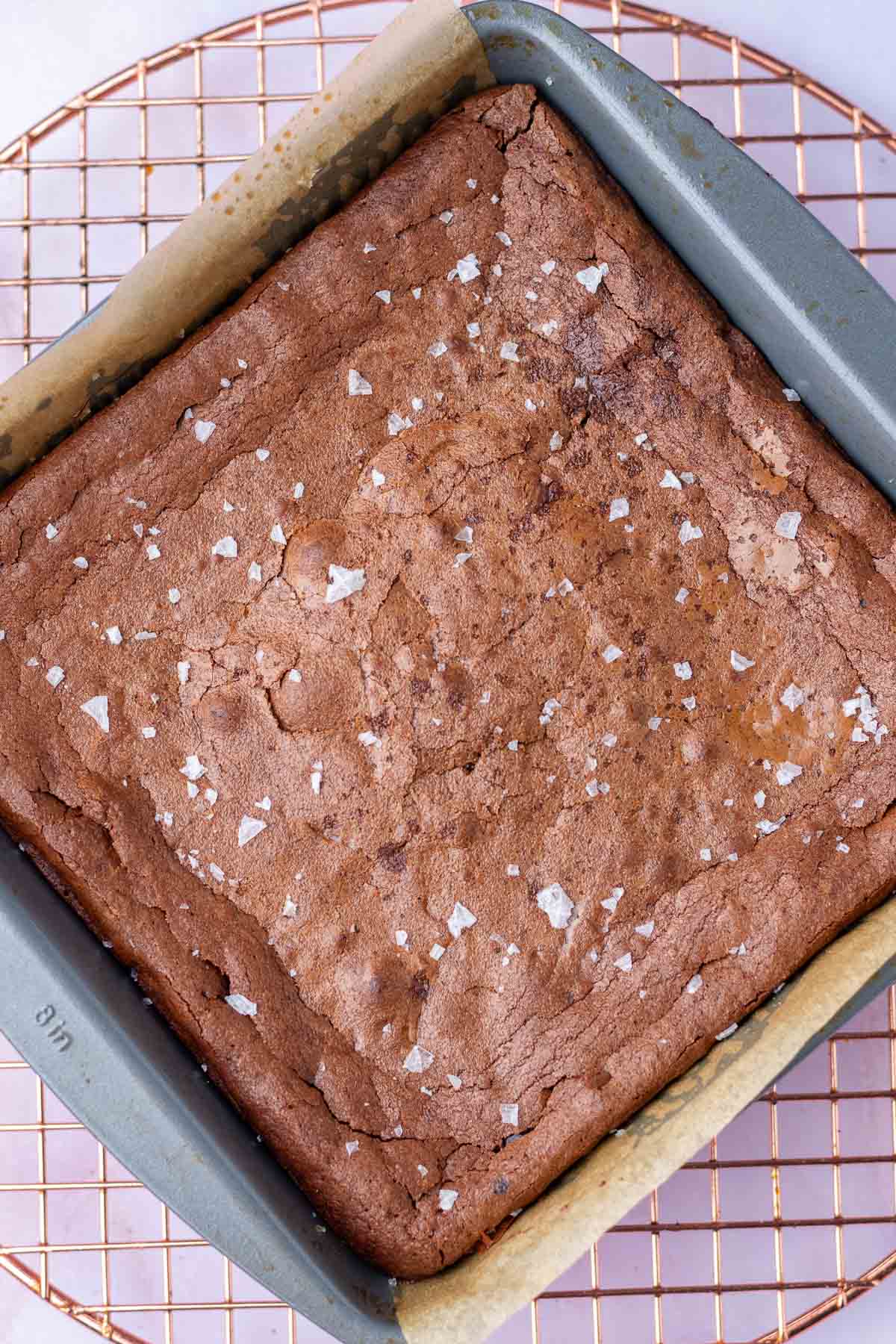 Baked sourdough brownie batter in baking pan.