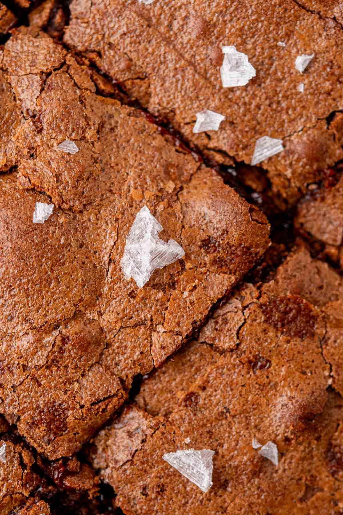 Close up of flaky salt on fudgy sourdough brownies.