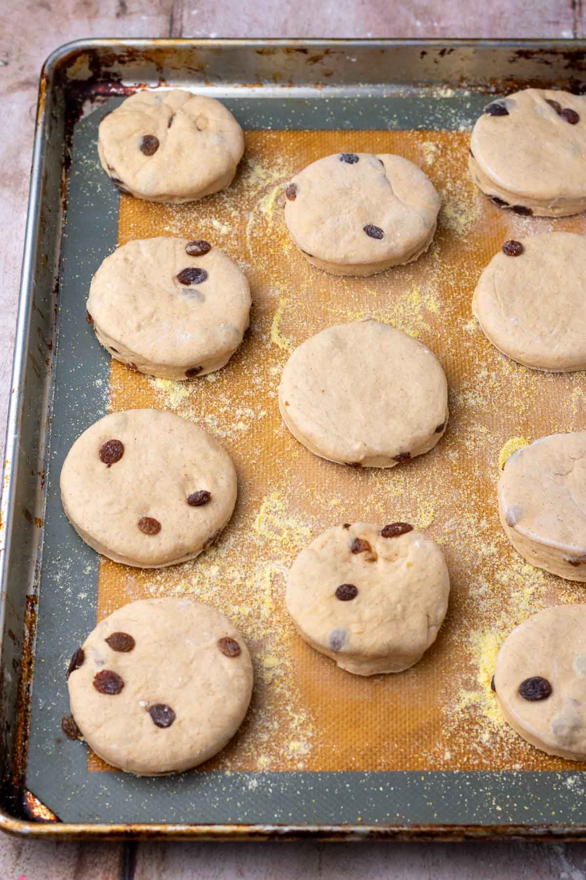 Sourdough cinnamon raisin english muffins on a sheet pan for final proofing.