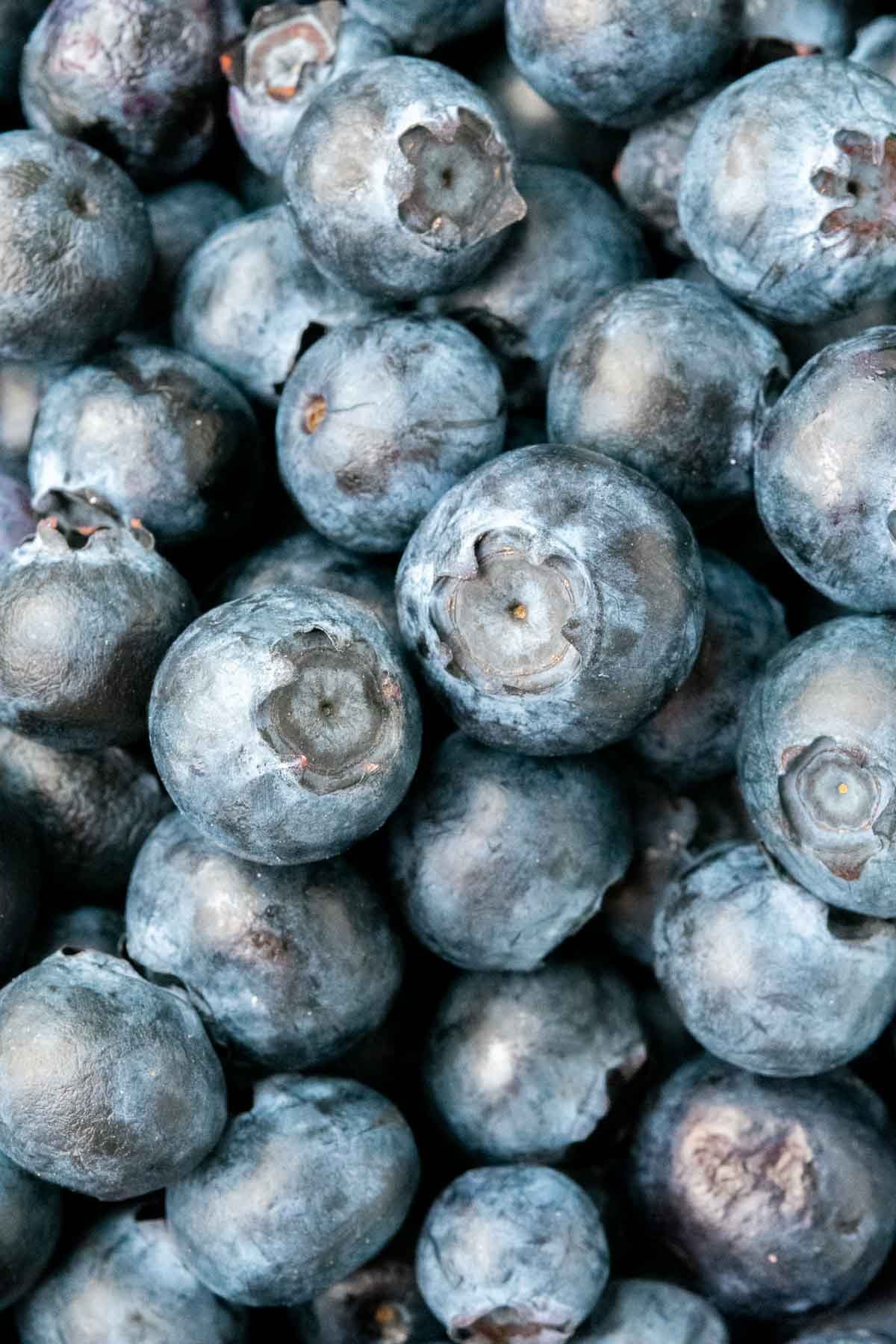 Up close detailed macro image of fresh blueberries.