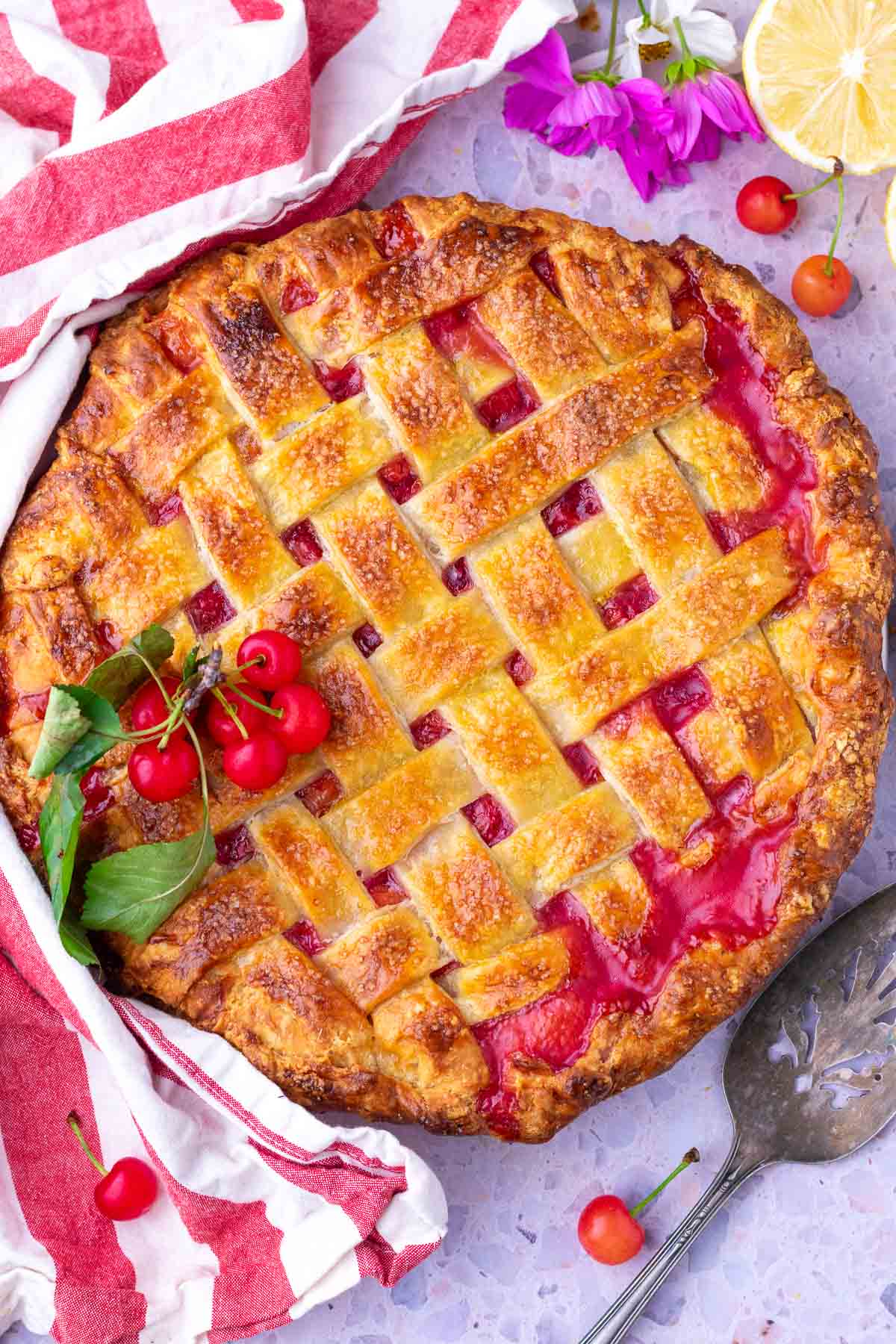Sourdough sour cherry pie with a lattice crust.