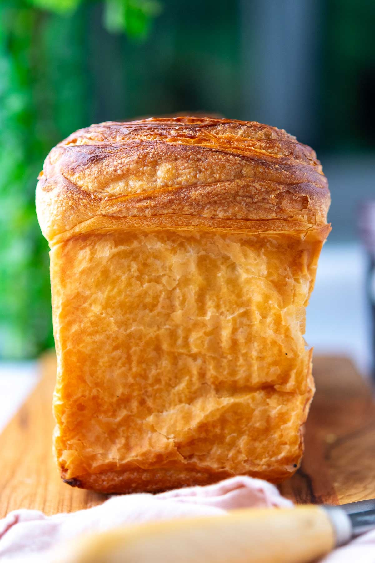 Profile of flaky sourdough croissant bread loaf.