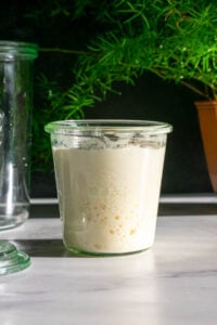 Sourdough Guides