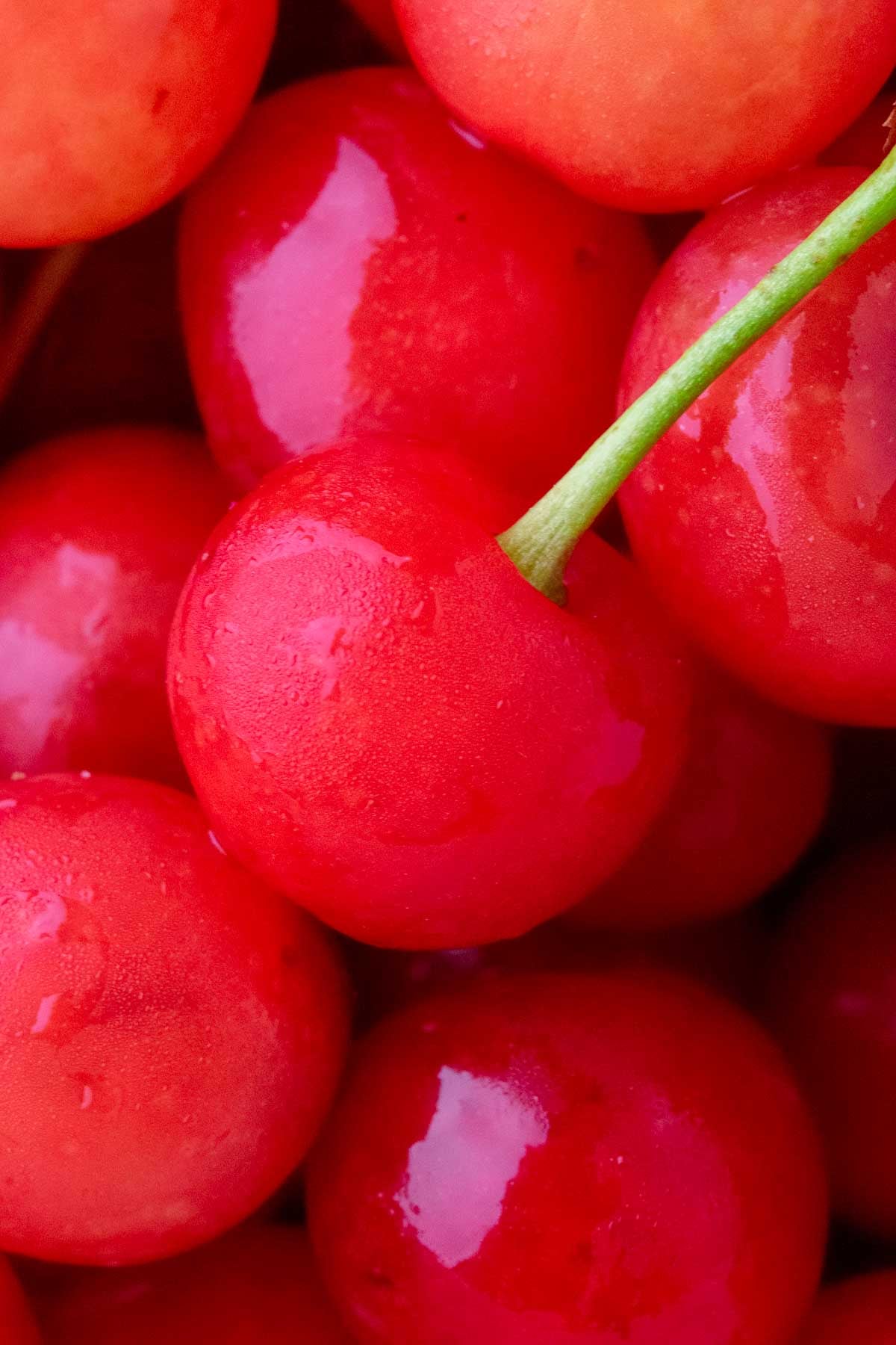 Macro close up image of sour cherries.