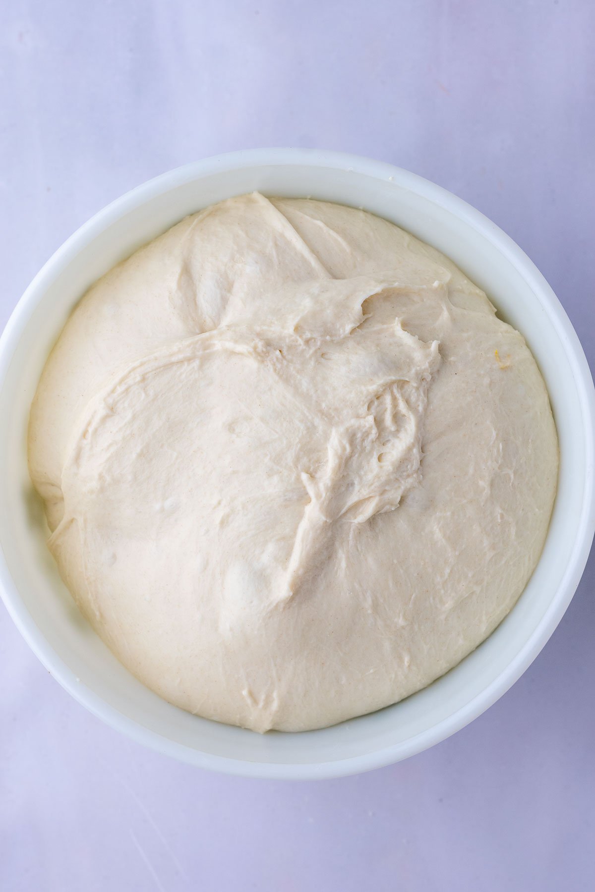Sourdough pita bread dough in bowl at the end of bulk fermentation.