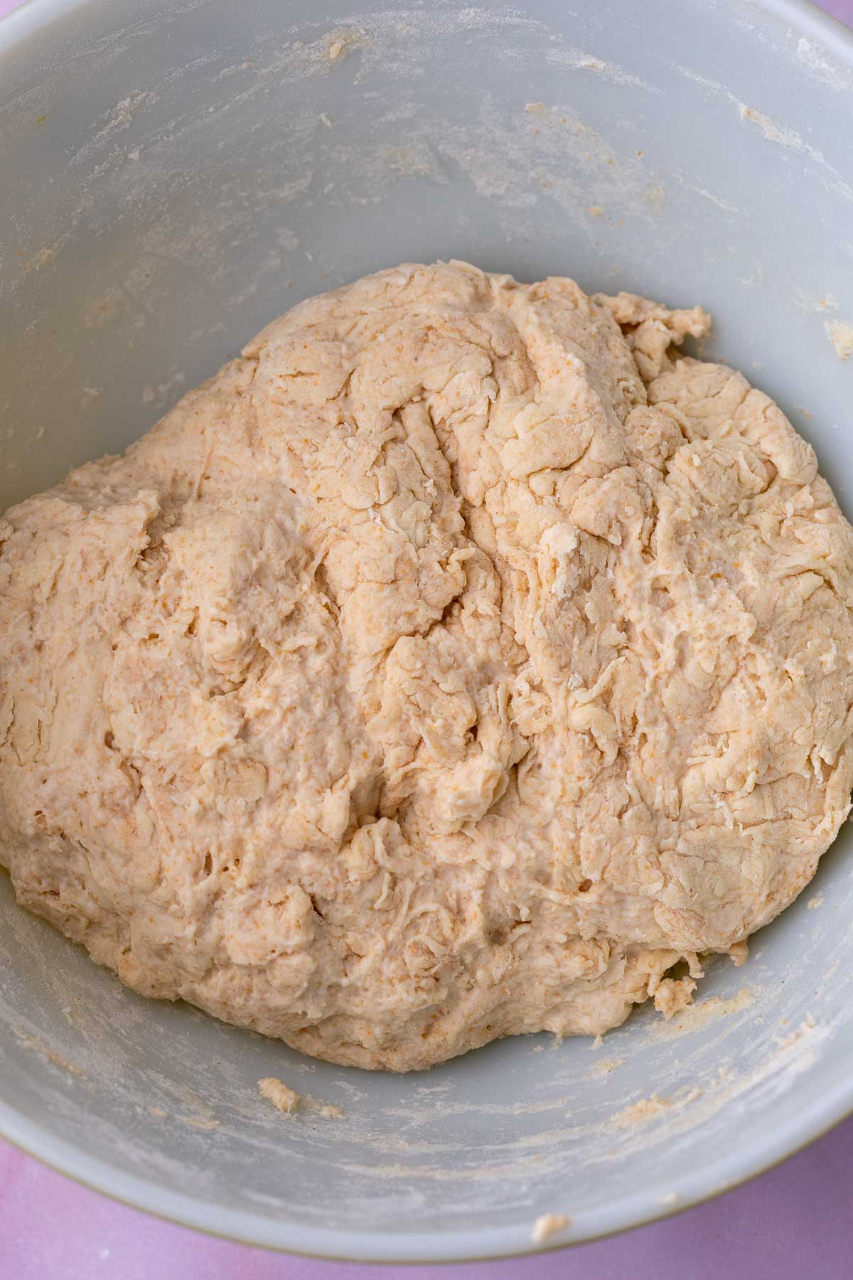 Autolyse of funfetti sourdough bread dough in a bowl.